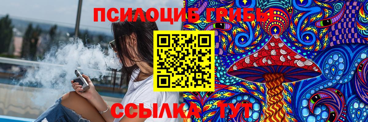 Псилоцибиновые грибы Magic Shrooms  Вход с VPN  Тверь  Псилоцибиновые грибы Cubensis 